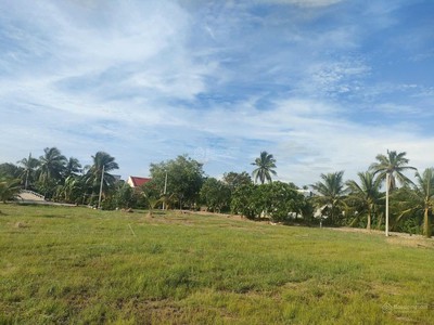 5x60m Đất có thổ cư. Đường 8m thông. Gần trường học. 450tr. 4