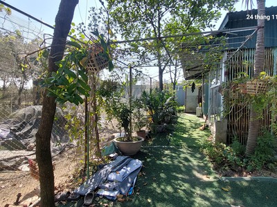 Cần bán đất ruộng 850m2, mt40m, có nhà c4, công trình phụ, 1.8 tỷ, bắc hồng, đông anh. 1