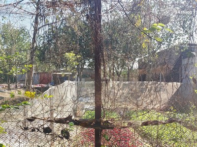 Cần bán đất ruộng 850m2, mt40m, có nhà c4, công trình phụ, 1.8 tỷ, bắc hồng, đông anh. 3