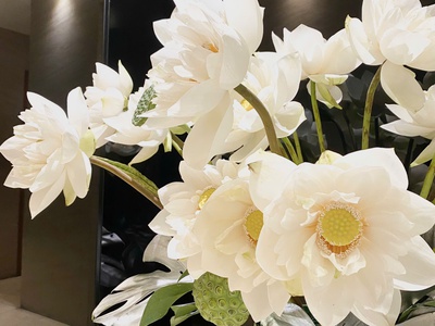 Linhhk cho thuê sàn văn phòng cao cấp tại 41a lý thái tổ chuẩn mực dành cho doanh nghiệp dẫn đầu 4