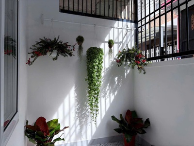 Bán nhà sổ riêng gần trung tâm đà lạt giá 5,2 tỷ thương lượng 3