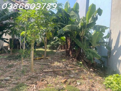 Bán nhà đất 252/270m    mặt tiền 9.8m   1 tầng   phố nguyễn văn linh   giá 23.5 tỷ 4