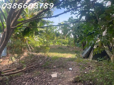 Bán nhà đất 252/270m    mặt tiền 9.8m   1 tầng   phố nguyễn văn linh   giá 23.5 tỷ 1