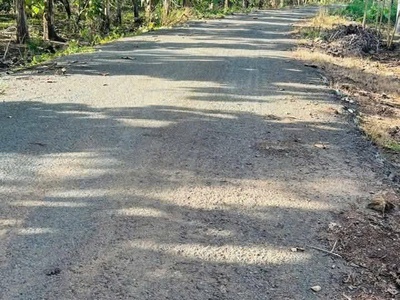 Bán nhà 1 sào 5   mặt nhựa sóc bưng, thanh phú, tx bình long - bình phước 0