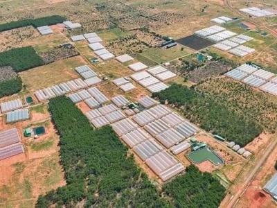 Chính chủ bán lô đất đẹp gần 5 ha 300m thổ cư thôn 2, xã hàm liên, hàm thuận bắc, bình thuận 0