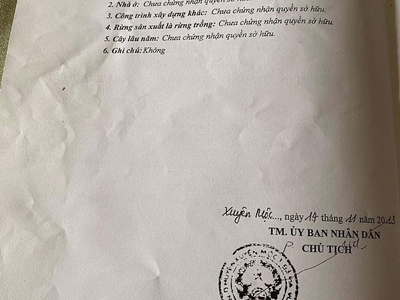 Chủ cần bán đất có đã có sổ giáp ranh trường cấp 2 hoà hiệp, hiện đang trồng sầu riêng . 1