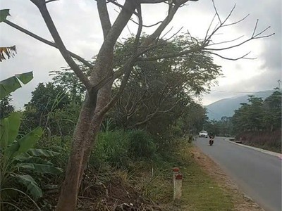 Đất đẹp giá tốt chính chủ cần bán tại lạc xuân, đơn dương, lâm đồng 2