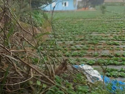 Đất đẹp giá tốt chính chủ cần bán tại lạc xuân, đơn dương, lâm đồng 3