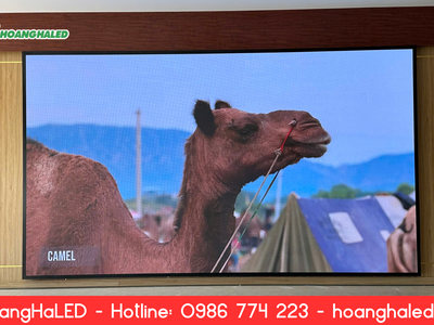 Thi Công Màn Hình LED Bệnh Viện P2.5 3840Hz Tại Bát Xát   Lào Cai 1