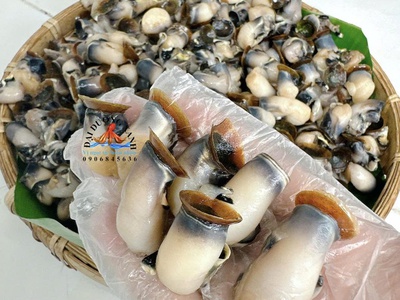 Cồi hàu điếu: đặc sản biển hiếm cho bữa ăn giàu dinh dưỡng 0