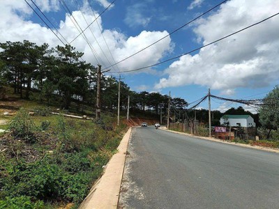 Bán đất biệt thự mặt tiền Cam Ly ngang 22m   P7   ĐÀ LẠT 0