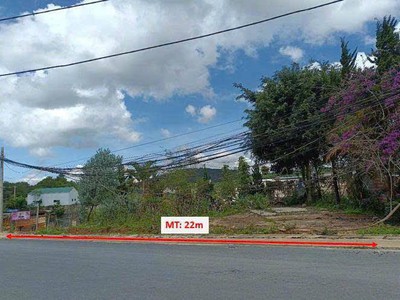 Bán đất biệt thự mặt tiền Cam Ly ngang 22m   P7   ĐÀ LẠT 1