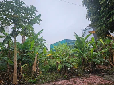 Đất đẹp 256m2 khu đô thị phía tây cầu Phú Lương 0