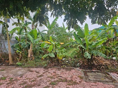 Đất đẹp 256m2 khu đô thị phía tây cầu Phú Lương 2