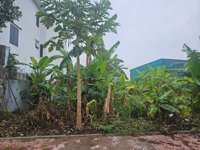 Đất đẹp 256m2 khu đô thị phía tây cầu Phú Lương 3