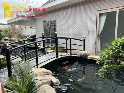 Dịch vụ chăm sóc bảo dưỡng hồ cá koi ở Hồ Chí Minh 0