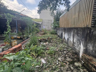 Cho thuê đất hẻm ô tô 4m, đường Nguyễn Thị Định, phường Cát Lái, Quận 2 1