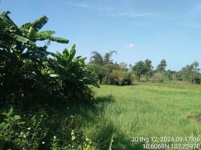 Chính chủ cần bán lô đất có vị trí đẹp huyện châu đức - bà rịa  - vũng tàu 2