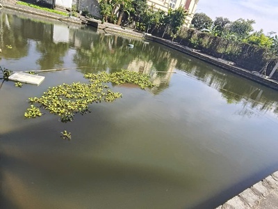 Bán biệt thự 3 tầng 2000 m sân vườn đồ sơn hải phòng 0