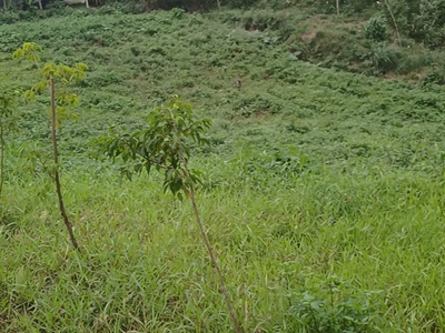 Bán đất đường mặt tiền Dạ Lê quy hoạch mở rộng 31m giá 885 triệu 2