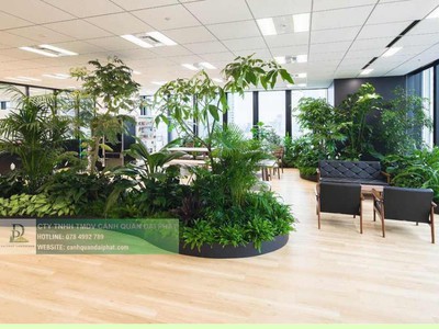 Chăm Sóc và Bảo Dưỡng Cây Xanh Văn Phòng Định Kỳ DPL 4