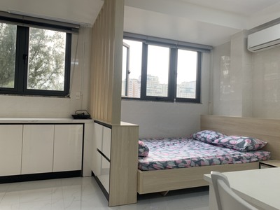 CHDV 12X15M góc 2mt wie sông công viên Tân Quy đông Q7. 1 trệt 4 lầu áp mái 33p TN 250tr 3