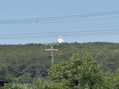 Đất thổ cư siêu HOT - Gia Tân 2, Đồng Nai 3