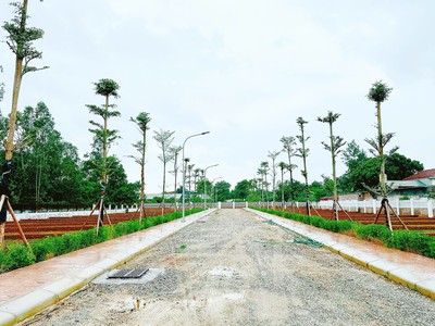 Chỉ còn 18 lô đất giá f0 tại khu dự án phú ninh - valley - sổ đỏ từng lô - đầu tư sinh lời 0