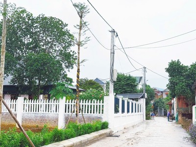 Chỉ còn 18 lô đất giá f0 tại khu dự án phú ninh - valley - sổ đỏ từng lô - đầu tư sinh lời 1