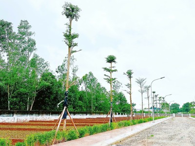 Chỉ còn 18 lô đất giá f0 tại khu dự án phú ninh - valley - sổ đỏ từng lô - đầu tư sinh lời 2