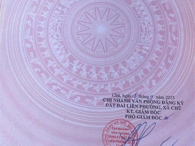 Đất đẹp - giá tốt - vị trí đắc địa tại thôn thủ dương, xã nam dương, tỉnh bắc ninh 0