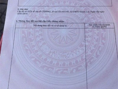 Đất đẹp - giá tốt - vị trí đắc địa tại thôn thủ dương, xã nam dương, tỉnh bắc ninh 1