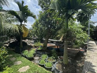 Bán nhà mặt tiền 36x28m giá 25 tỷ đường 7m phạm văn sáng 1