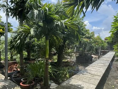 Bán nhà mặt tiền 36x28m giá 25 tỷ đường 7m phạm văn sáng 2