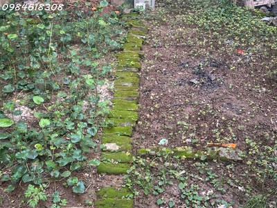 Bán đất mặt phố phương canh - phường xuân phương, 106m2 0