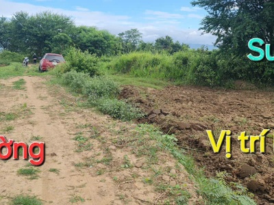 Cần bán gần 1,6 sào đất cây trồng view suối - xã hàm thuận bắc, tỉnh lâm đồng 0