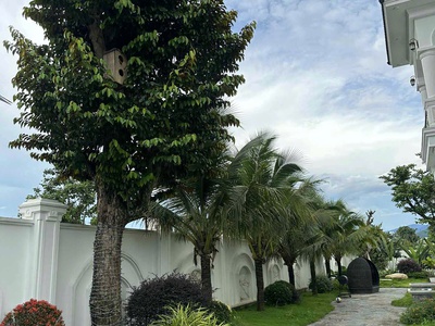 Nhà xây trên diện tích đất 20x83 - thuộc xã krông nô .huyện lắk .đắklắk 3