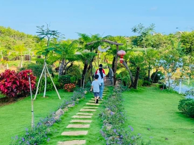 Làng Omm mở bán. view đồi chè Tâm Châu 4