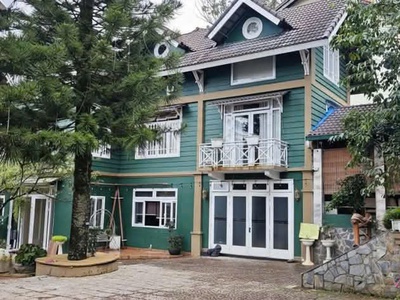 Cho thuê villa sân vườn 10 phòng đường hùng vương,p9  đà lạt 0