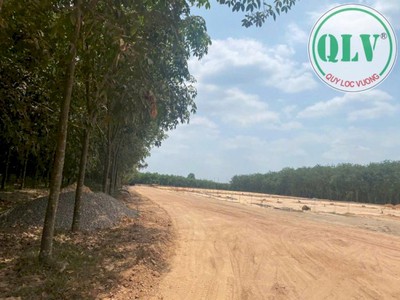 Cho thuê nhà xưởng LONG NGUYÊN, BÀU BÀNG, BD 7.678m 4