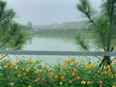 Bán Đất Nền Cạnh Hồ Tâm Châu Và Resort Đôi Dép Giá 650tr 4