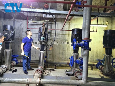 Bộ ruột buồng cánh bơm công nghiệp CNP CDL,CDLF công suất lớn 2