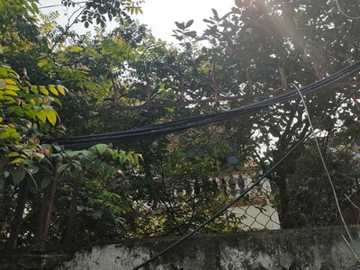 Bán gấp giá rẻ giải phóng 70m, cấp 4, mặt tiền 4.5m, 1.05 tỷ hoàng mai. 2