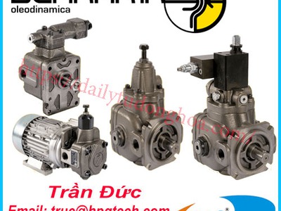 Nhà cung cấp Bơm Berarma tại Việt Nam 0