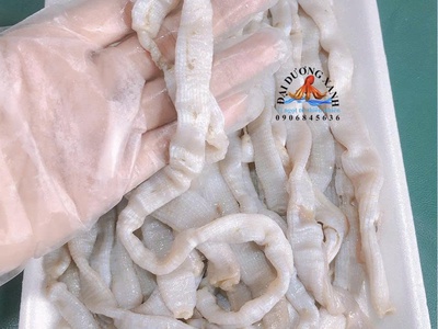 Sá sùng: Đặc sản đắt giá của biển Việt và lý do khiến ai cũng săn lùng 0