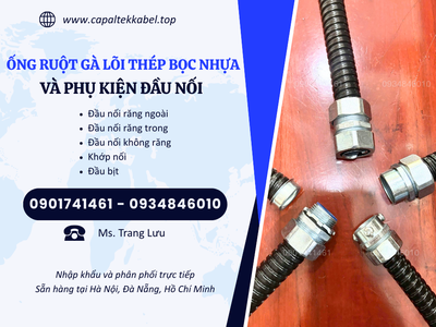 Phân phối sỉ lẻ ống ruột gà lõi thép Đà Nẵng, Hà Nội, Hồ Chí Minh 2