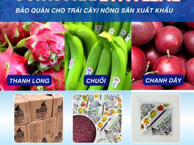 Gói Hút Khí Ethylene chống chín cho trái cây, nông sản 0