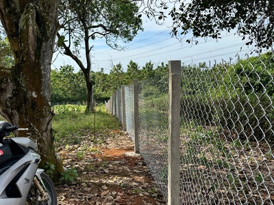 Một mảnh đất mới toanh giáp suối - view Hồ Trị An - sẵn nhà container siêu đẹp chỉ ở tại Thống Nhất. 6