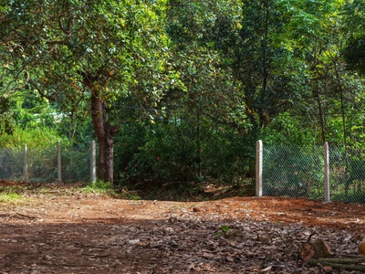 Một mảnh đất mới toanh giáp suối - view Hồ Trị An - sẵn nhà container siêu đẹp chỉ ở tại Thống Nhất. 8