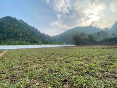 Tài chính 2 tỷ mua đất ở Cư Yên Lương Sơn Hoà Bình 0